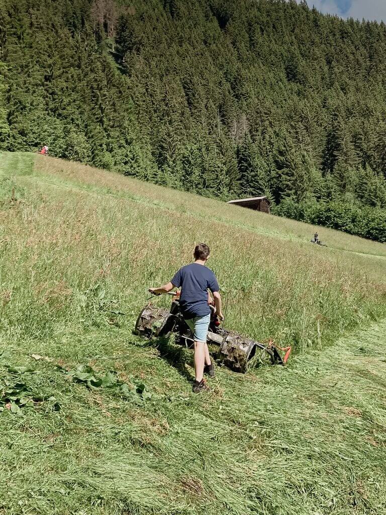 Person mäht hohe Wiese mit Mäher vor dichtem Wald.