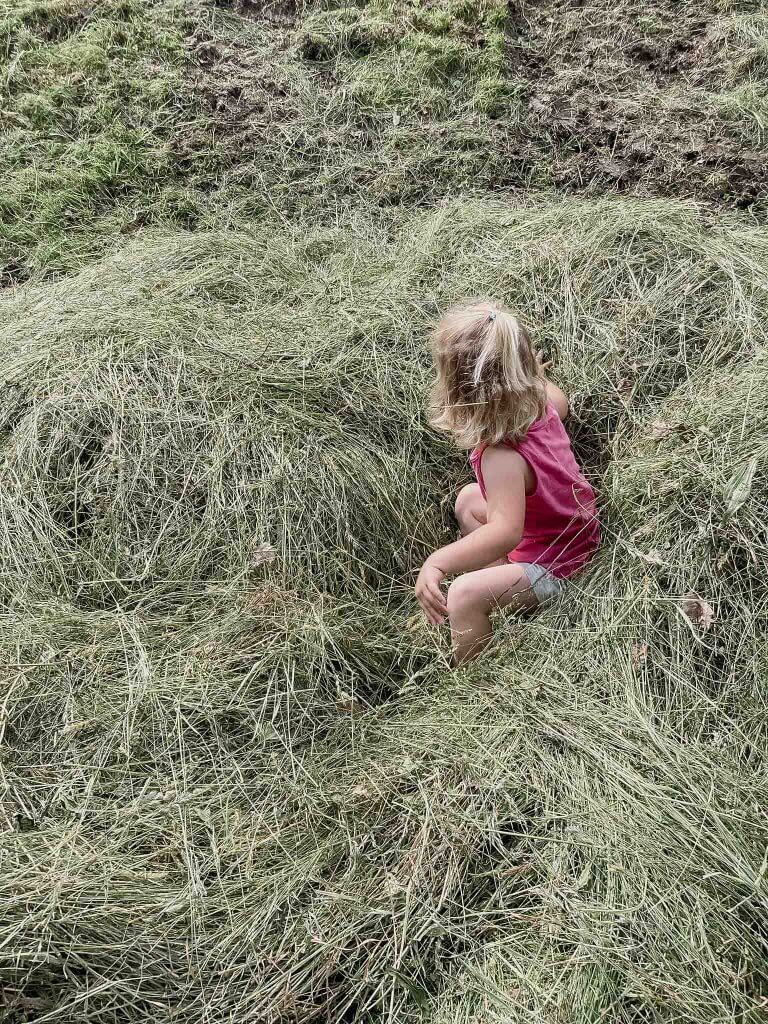 Kleines Kind in pinkem Oberteil sitzt im Heu auf einer Wiese.